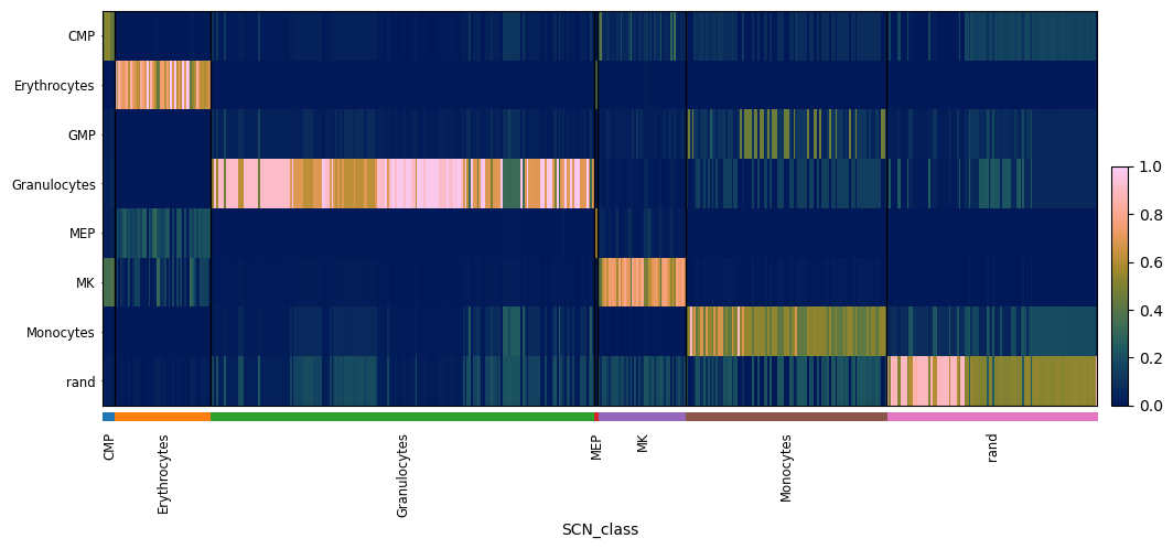 pySCN KO heatmap
