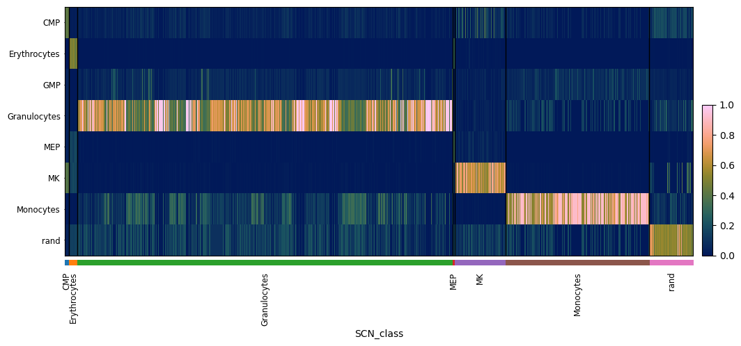 pySCN heatmap of final stages