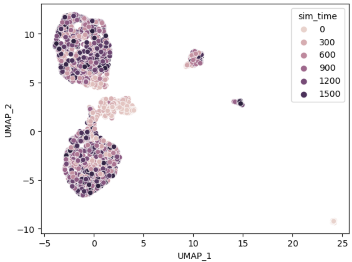 Wild-type simulation (UMAP)